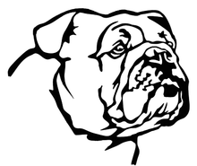 Load image into Gallery viewer, Dog Faces